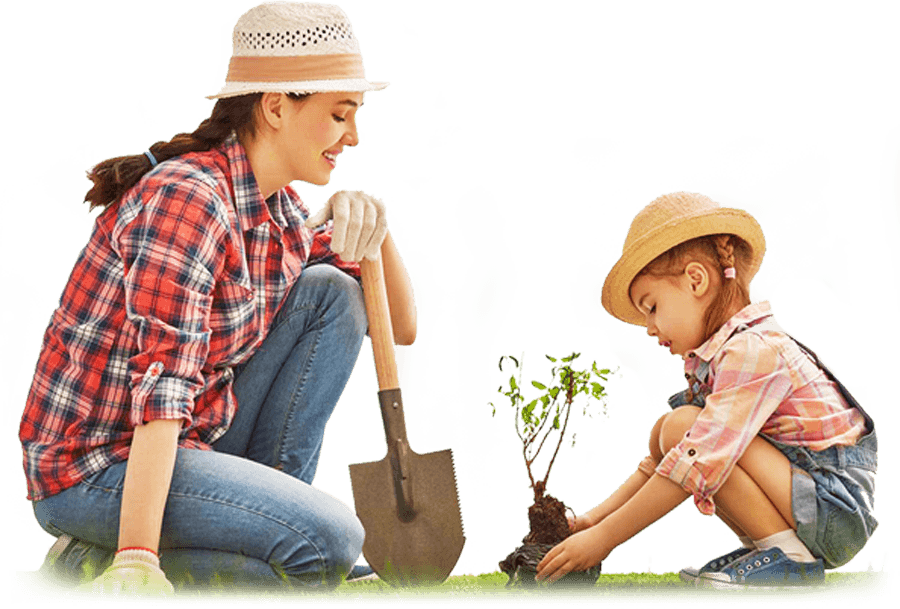 best landscape developers in chennai